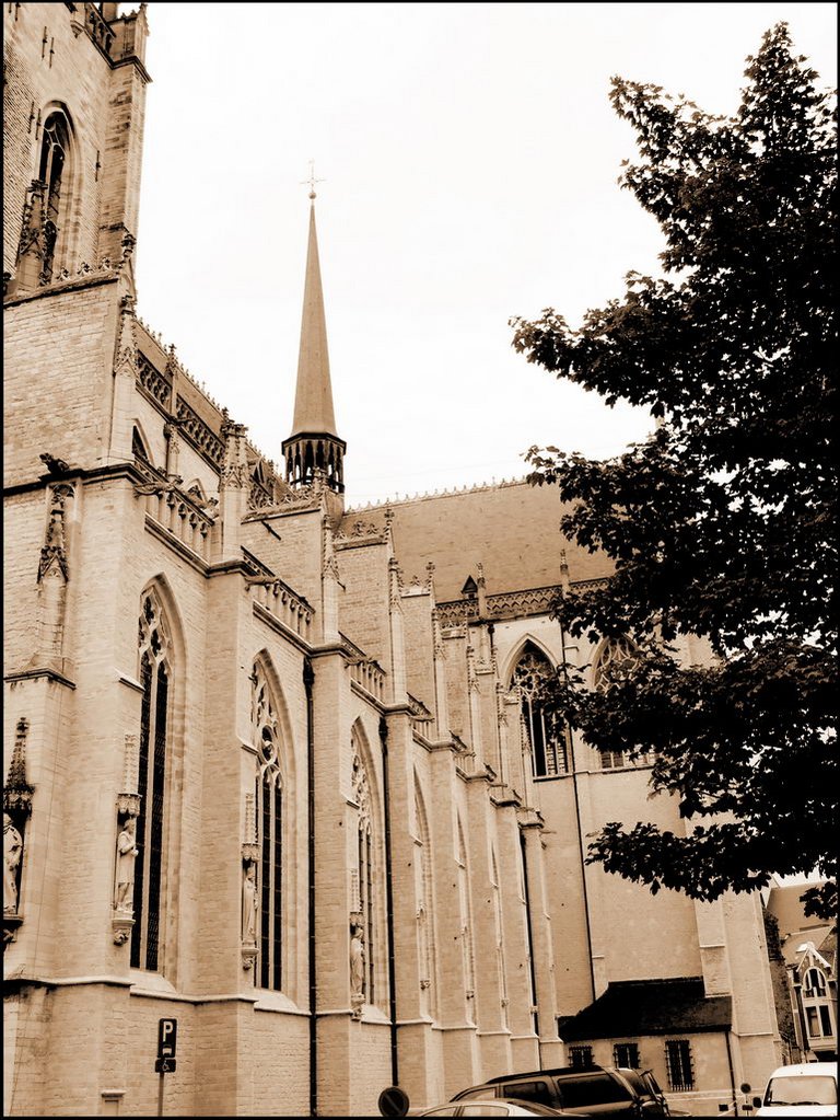 Lier 6559 Sint-Gummaruskerk.jpg