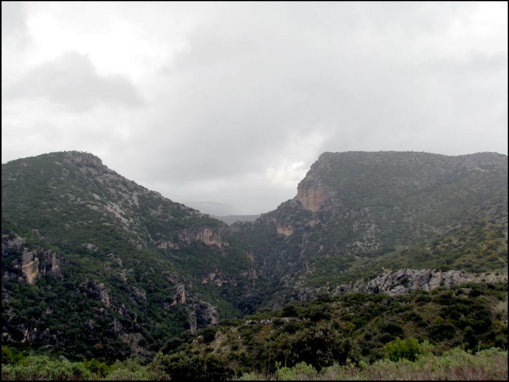 Sierra de Grazalema 097.jpg