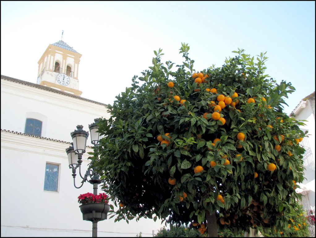 Marbella 4736 Iglesia de Santa M