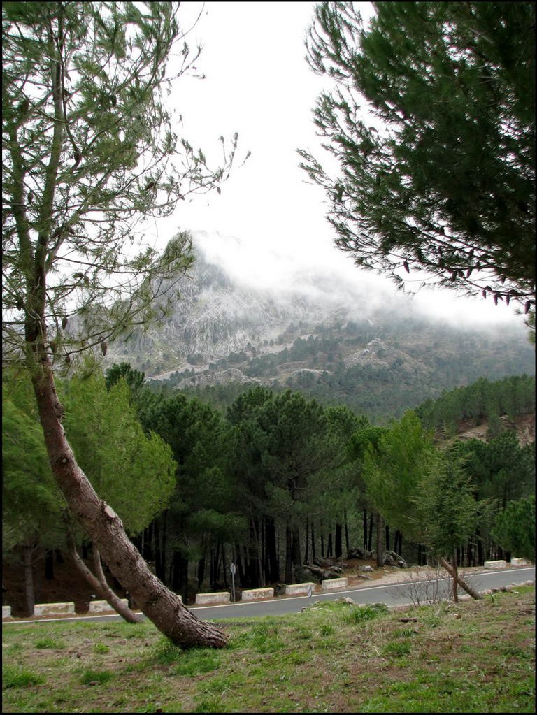 Sierra de Grazalema 048.jpg