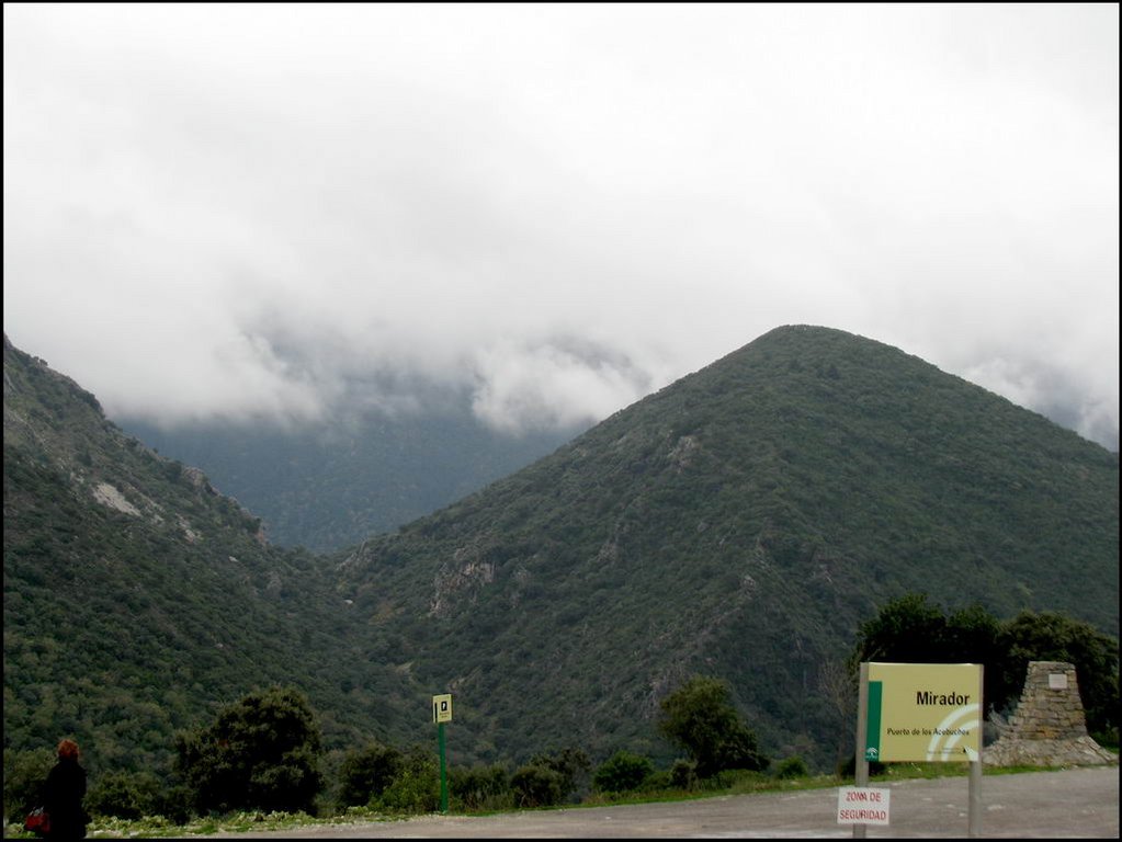 Sierra de Grazalema 104.jpg