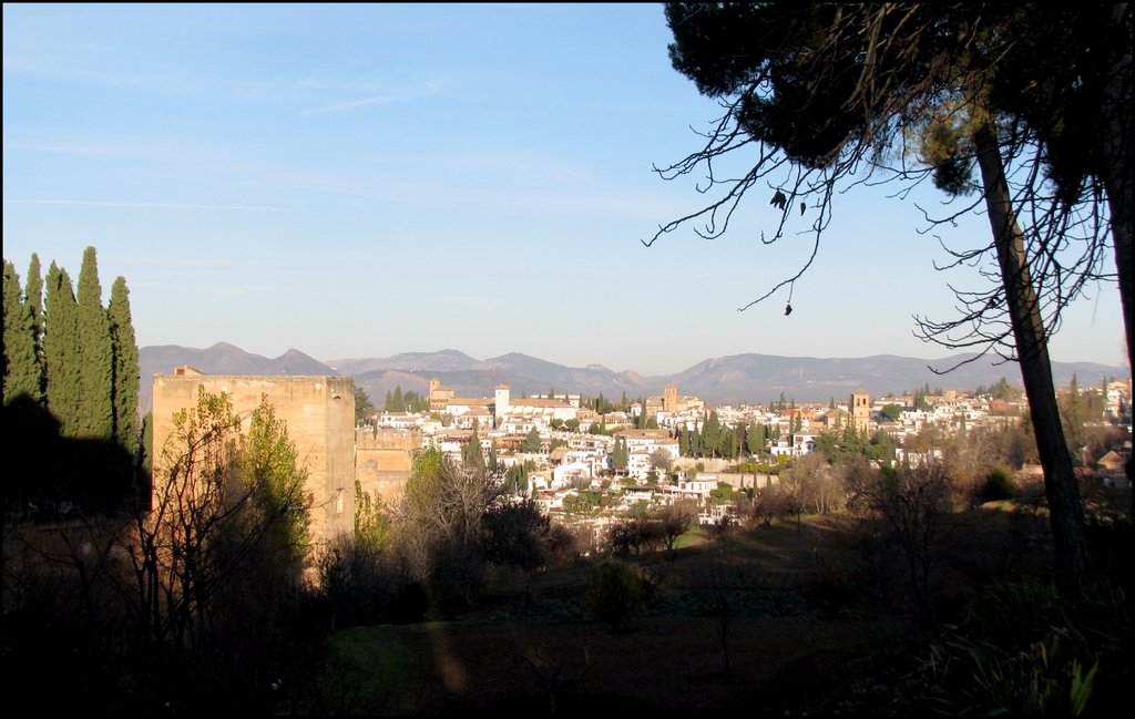 Alhambra 3937.jpg
