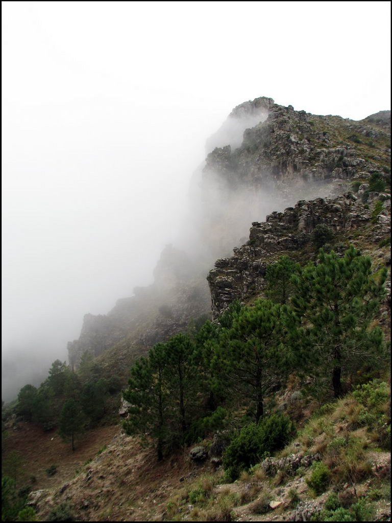 Sierra de Grazalema 059.jpg