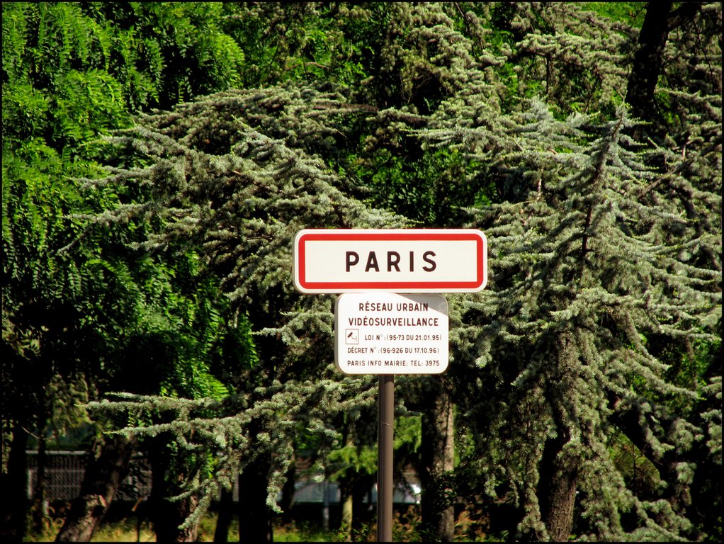 Paris 6611.jpg