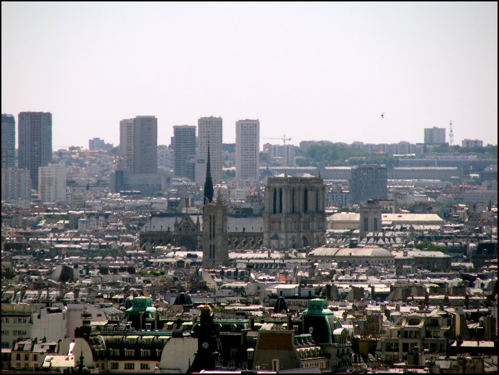 Paris 6663.jpg