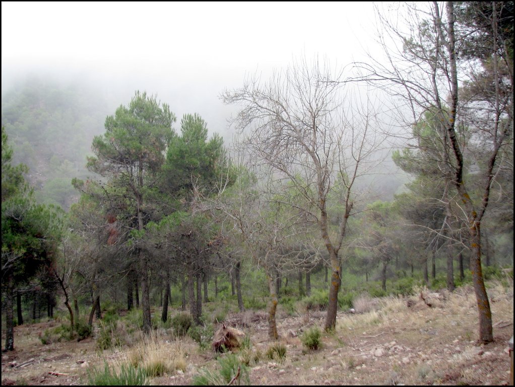 Sierra de Baza 6213.jpg