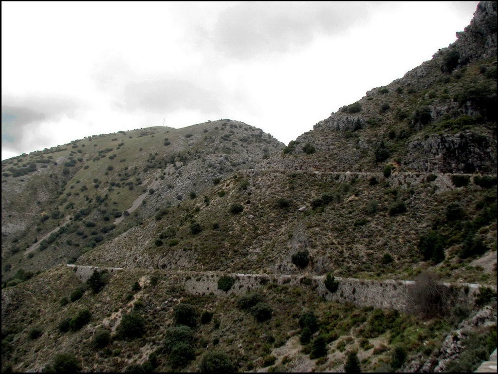 Sierra de Grazalema 081.jpg