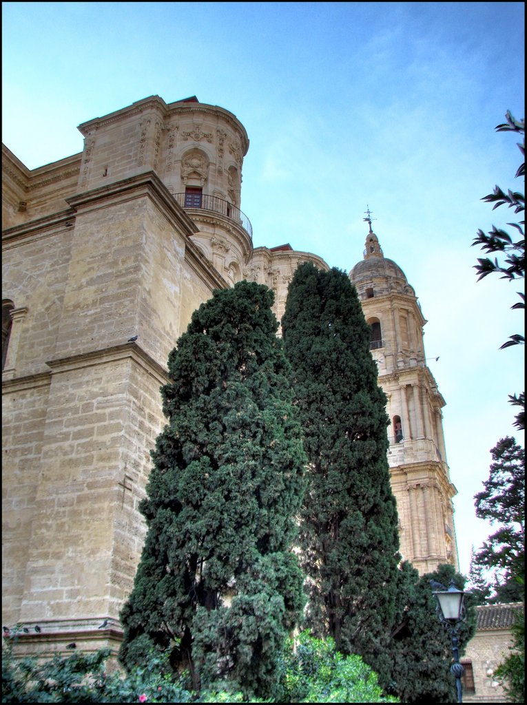 Malaga 3371_2_3 Catedral de la E