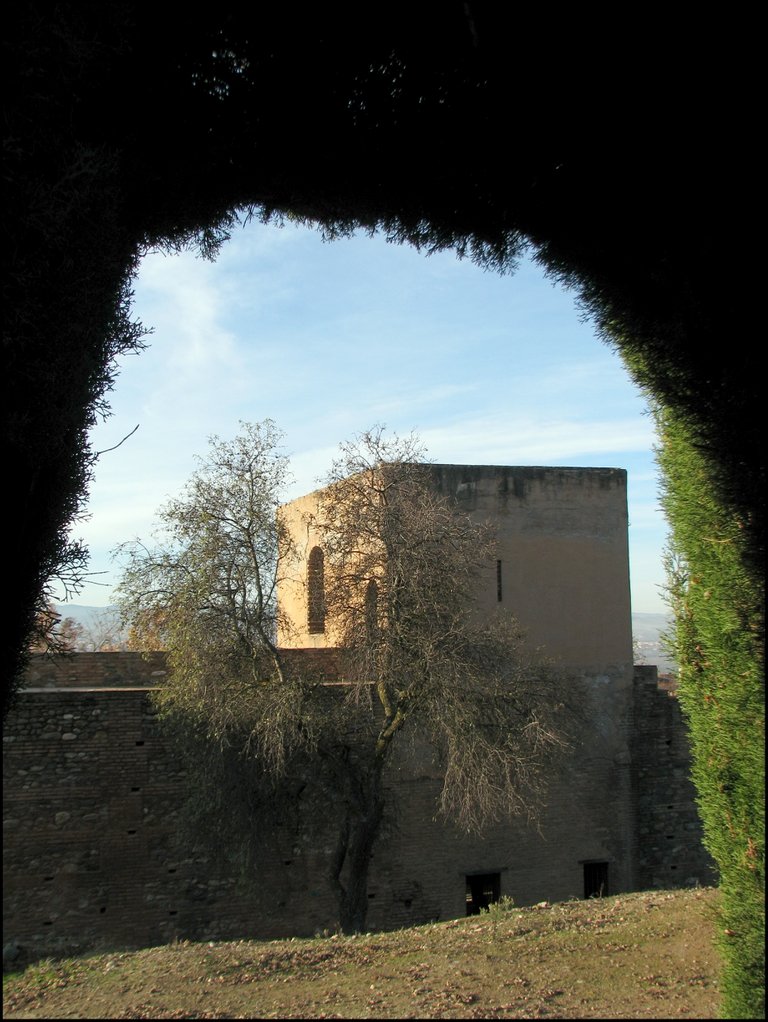 Alhambra 3981.jpg