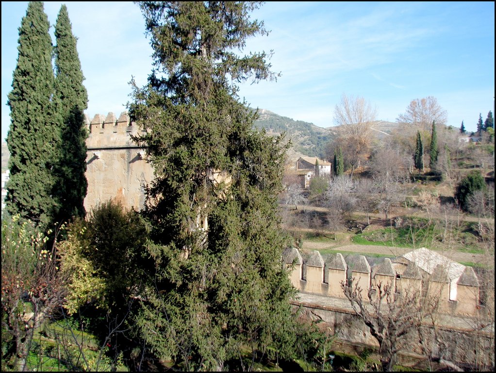 Alhambra 4420.jpg