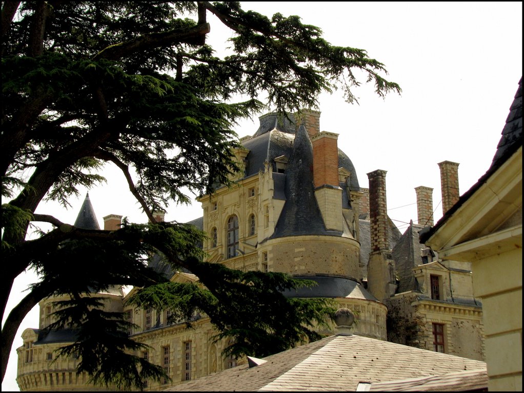 Chateau de Brissac 5734.jpg
