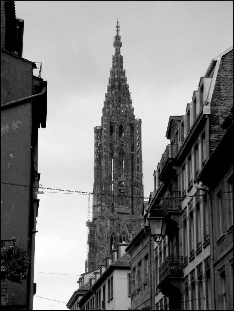 Strasbourg 082.jpg