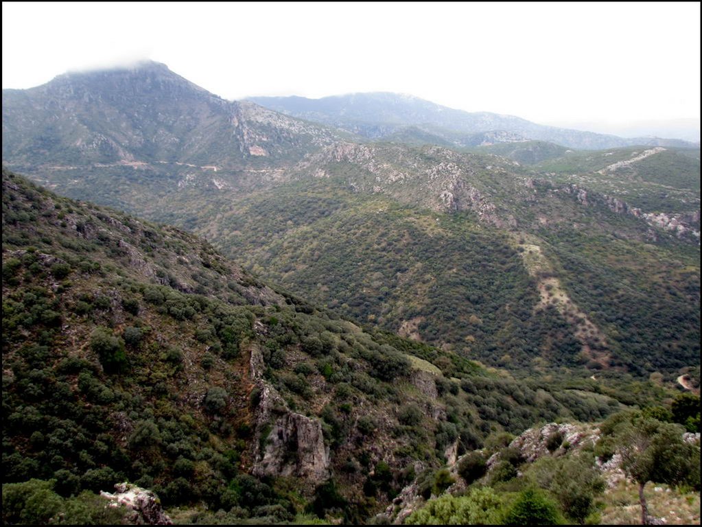 Sierra de Grazalema 082.jpg