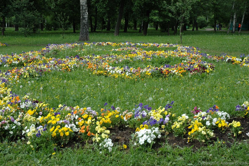 Цветочки в Мемориальном парке на