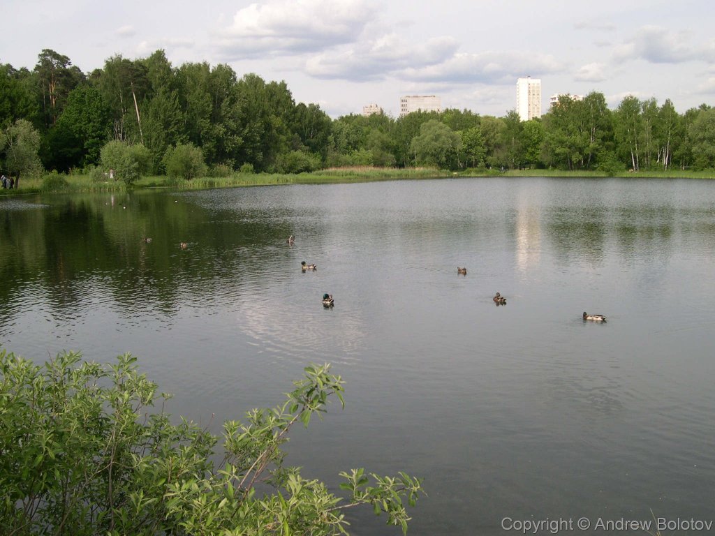 В парке Покровское-Стрешнево