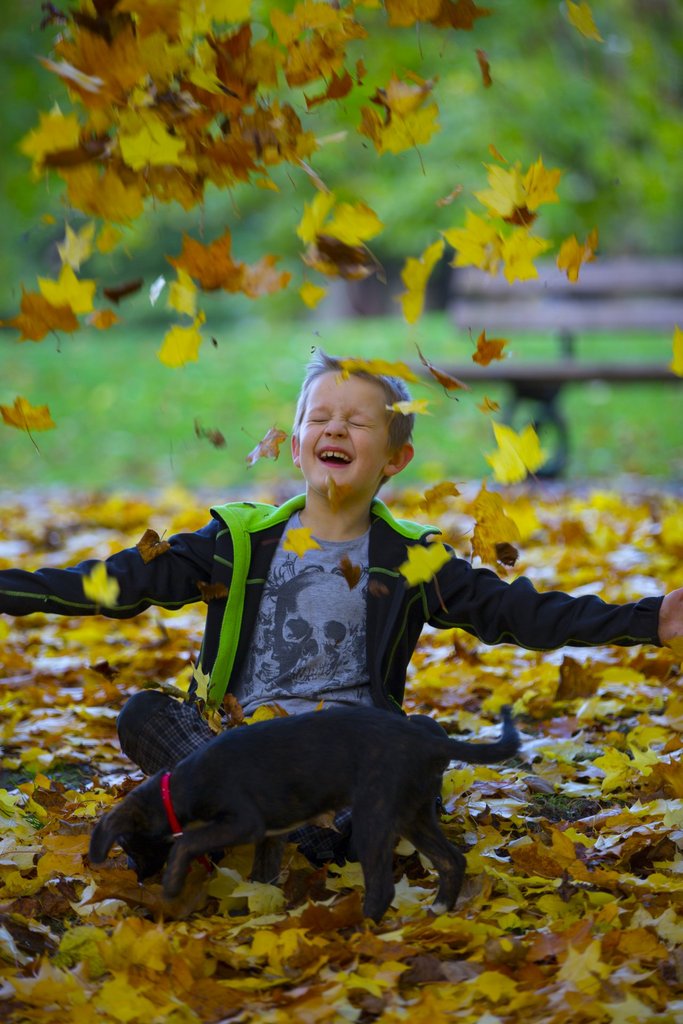 happy-boy-and-autumn-leaves-1477