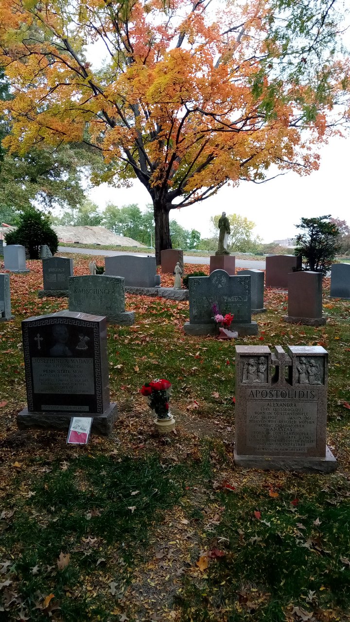 Woodlawn Cemetery Oct 2022