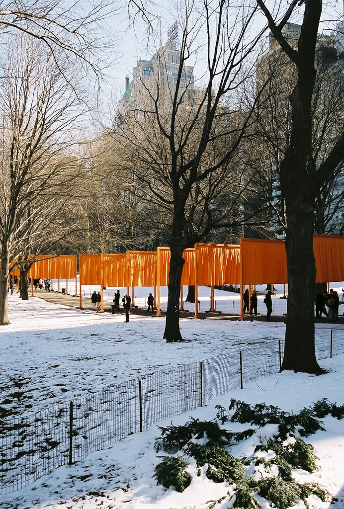 Central Park Flags 2005-1