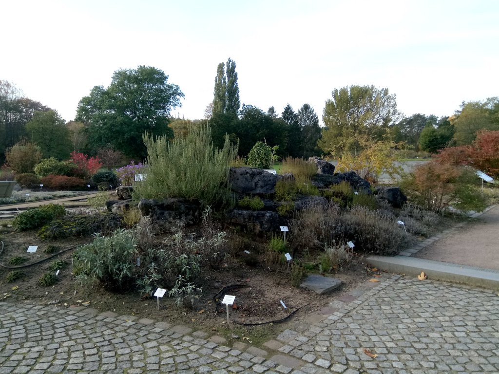 Botanischer Garten Hamburg (103)