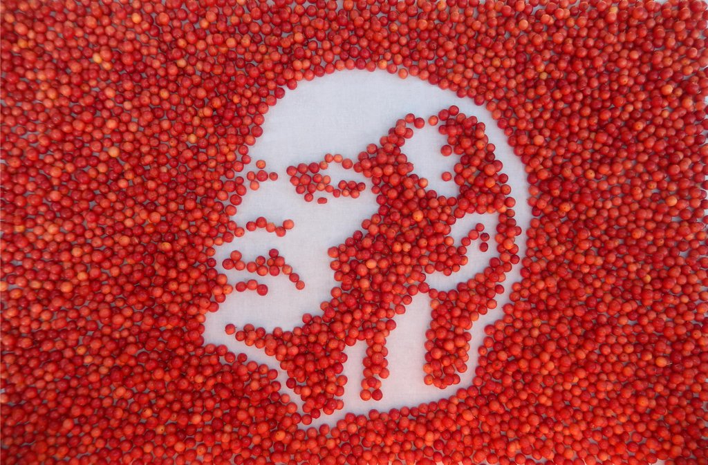 Ленин (из ягод калины)