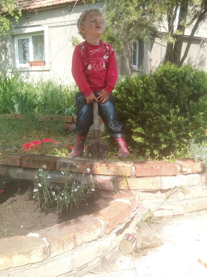 Посадка растений, мальчик 3 года