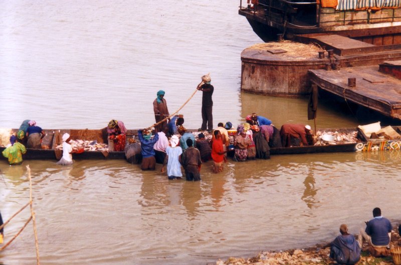 Fische in Mopti 1995.jpg