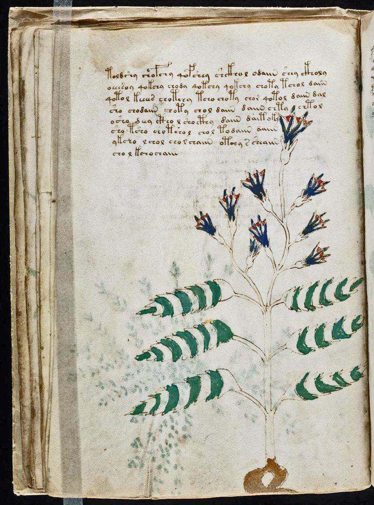Voynich_Manuscript Page 22a.jpg
