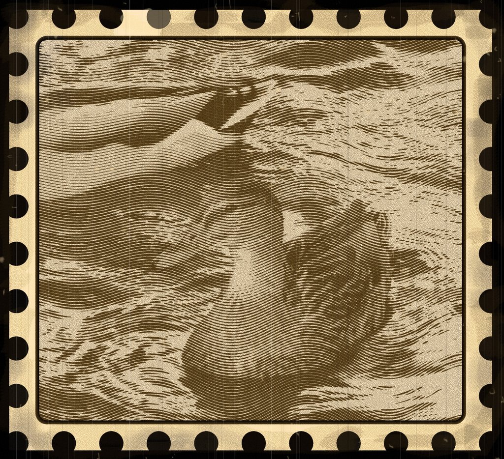 Duck3Redo2.jpg