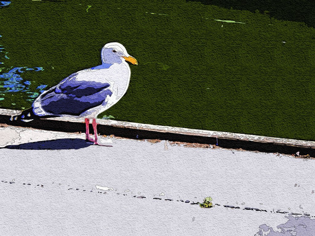Seagull1Redo2.jpg