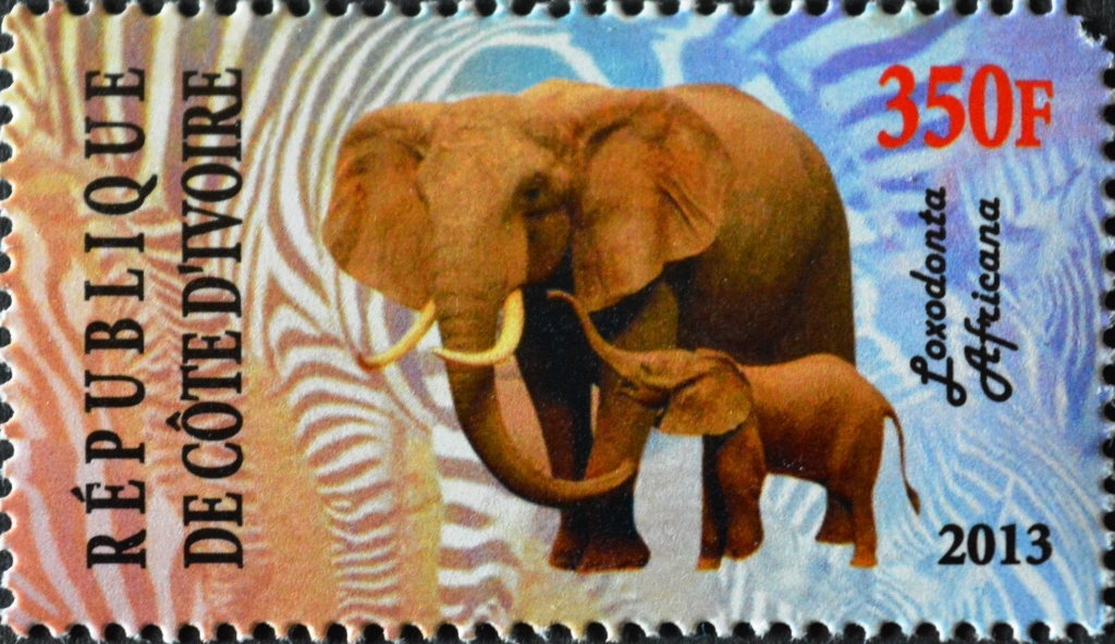 Кот Д,Ивуар 2013 350f (Фауна Африки) Слон.jpg