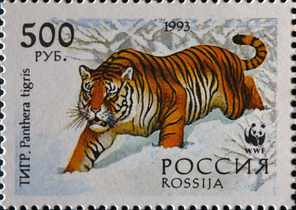 Россия 1993 500р. (Всемирный фонд дикой природы) Амурский тигр.j