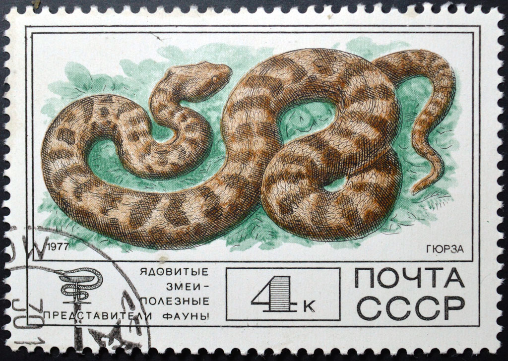 СССР 1977 4к.Фауна.  (Ядовитые змеи - полезные представители фау