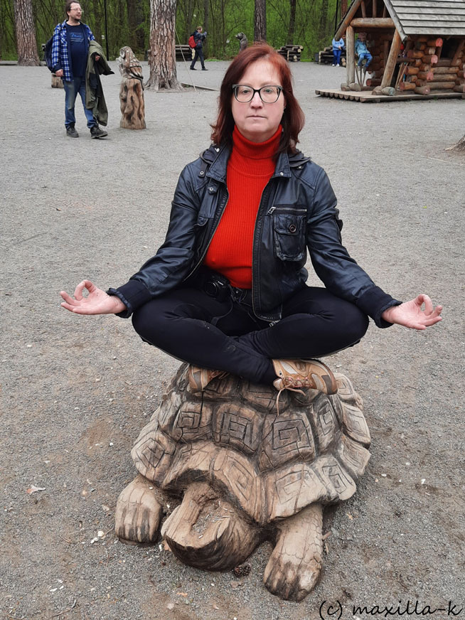 Медитация на черепахе