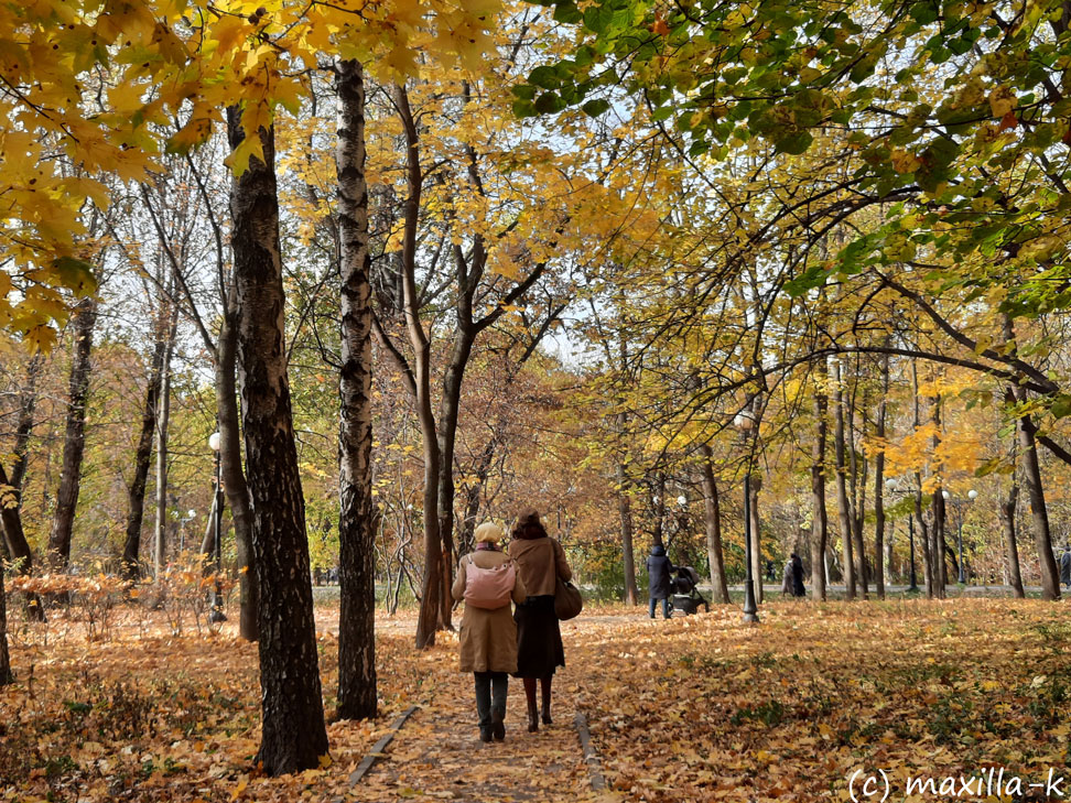 Осень в Петровском парке