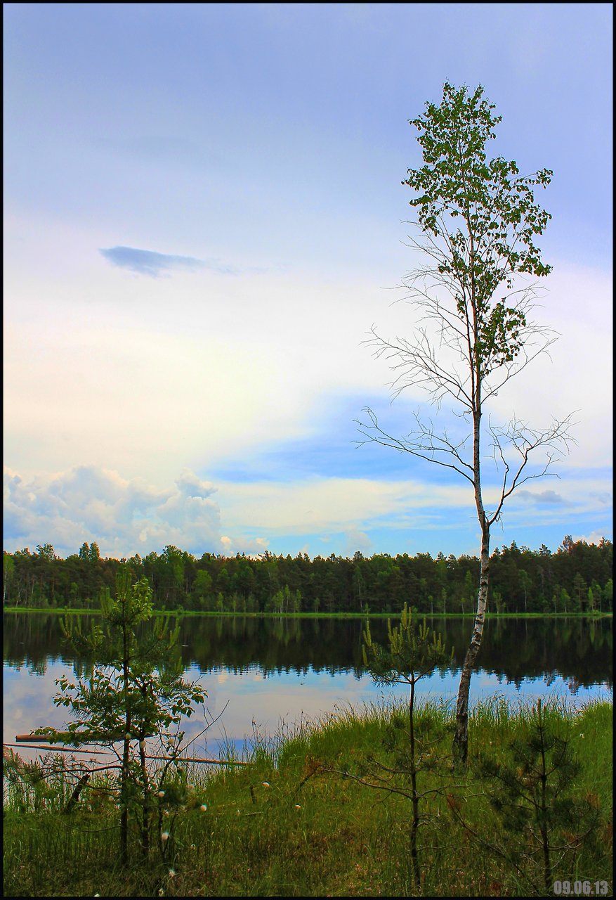 Лесное озеро Бездонка.jpg