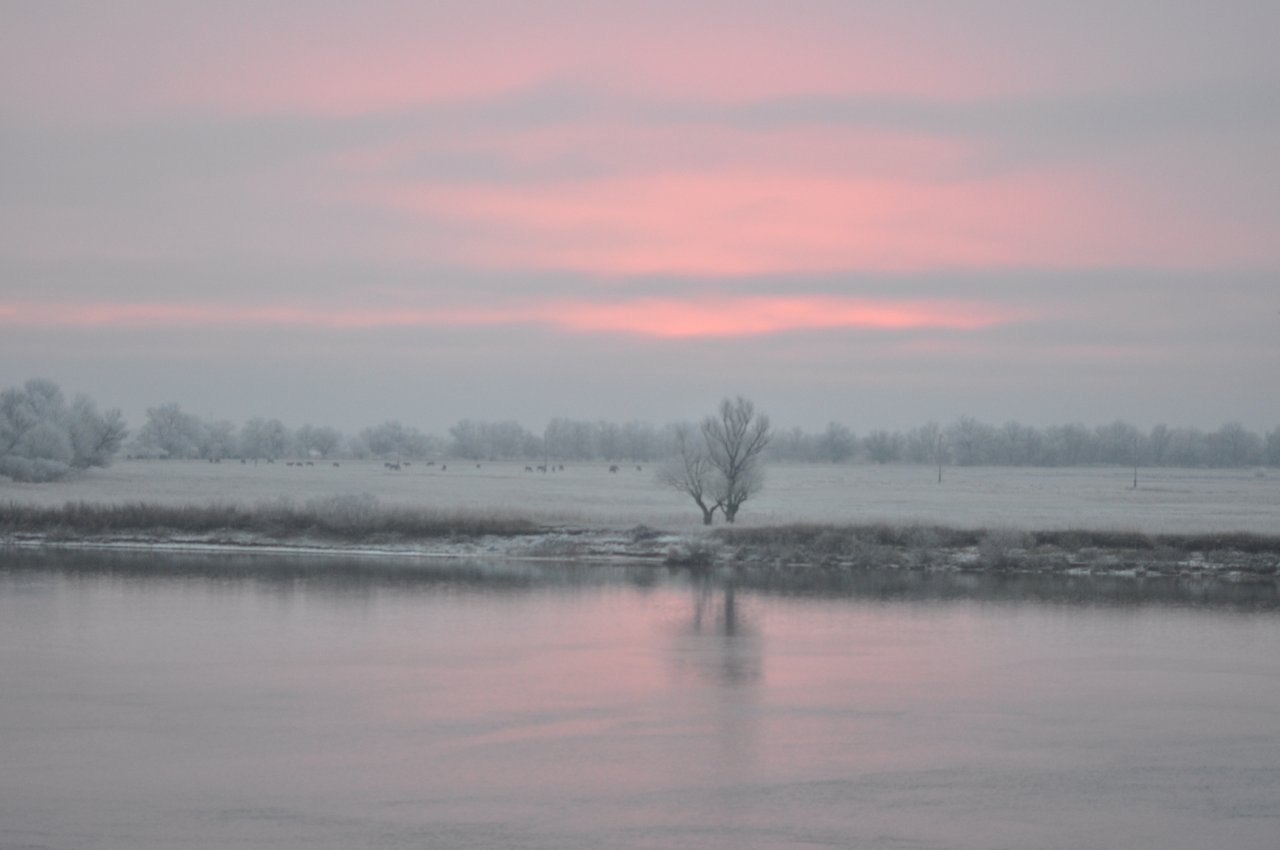Волга в конце ноября