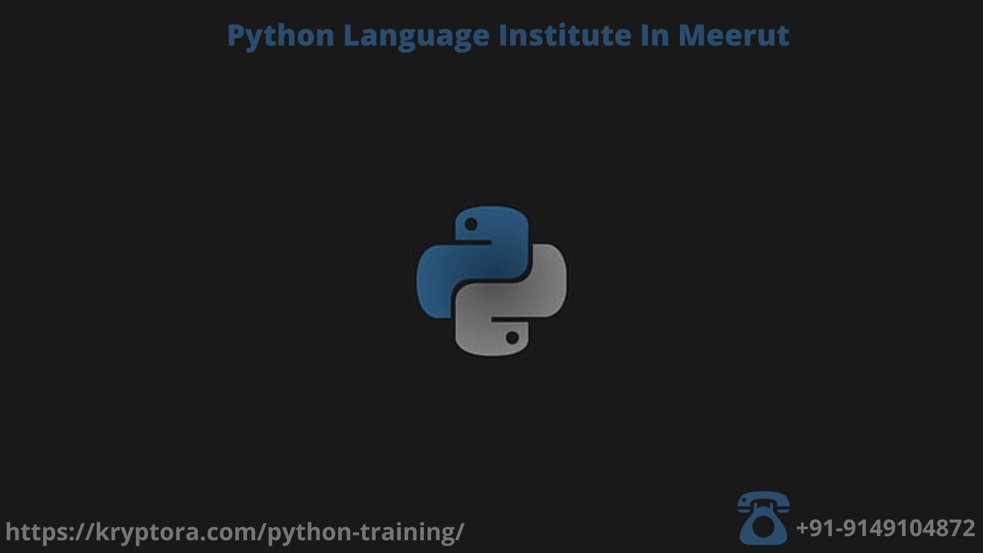 python programming language inst