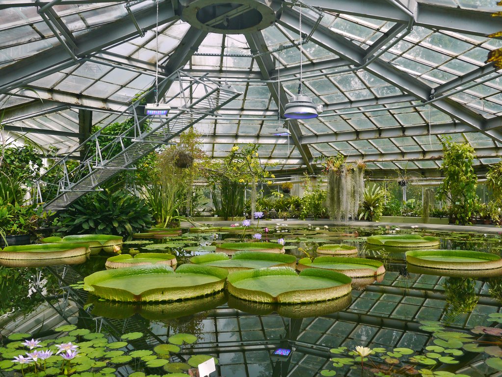 Ботанический сад санкт петербург фото
