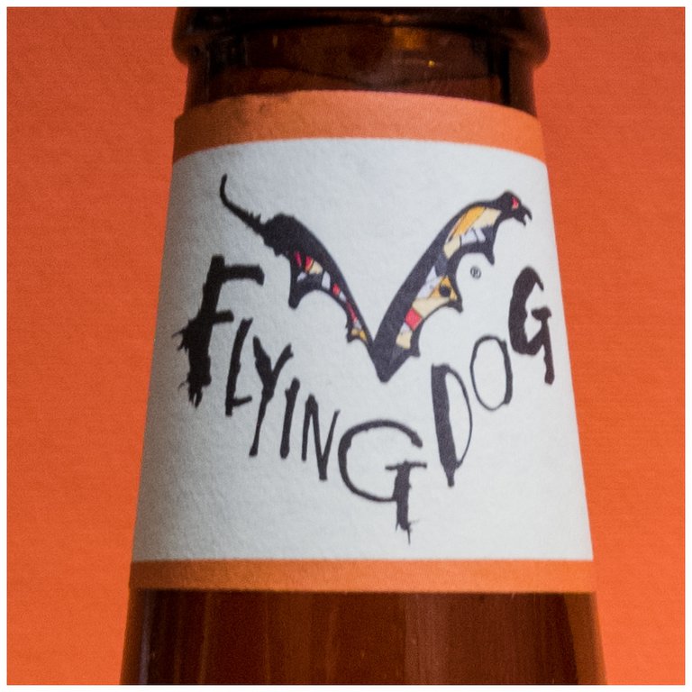 Flying Dog Riging Bitch 2018-02-