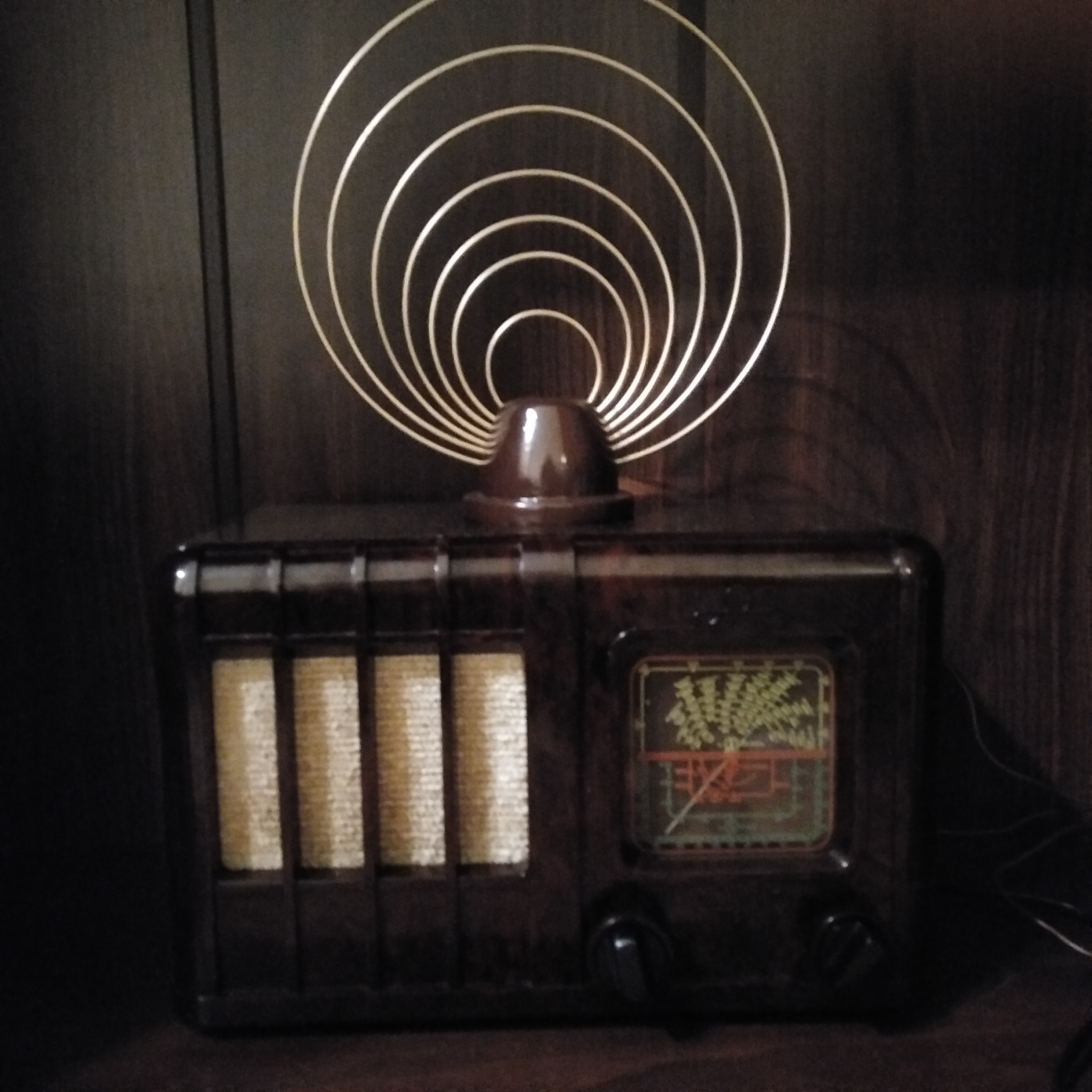 radio pionier 1.jpg