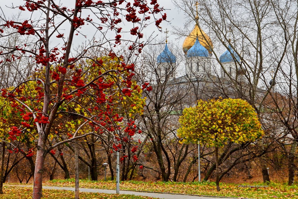 Где сейчас осень. Осень в Москве. Москва осенью. Осень в Москве картинки. Москва осень вид сверху.