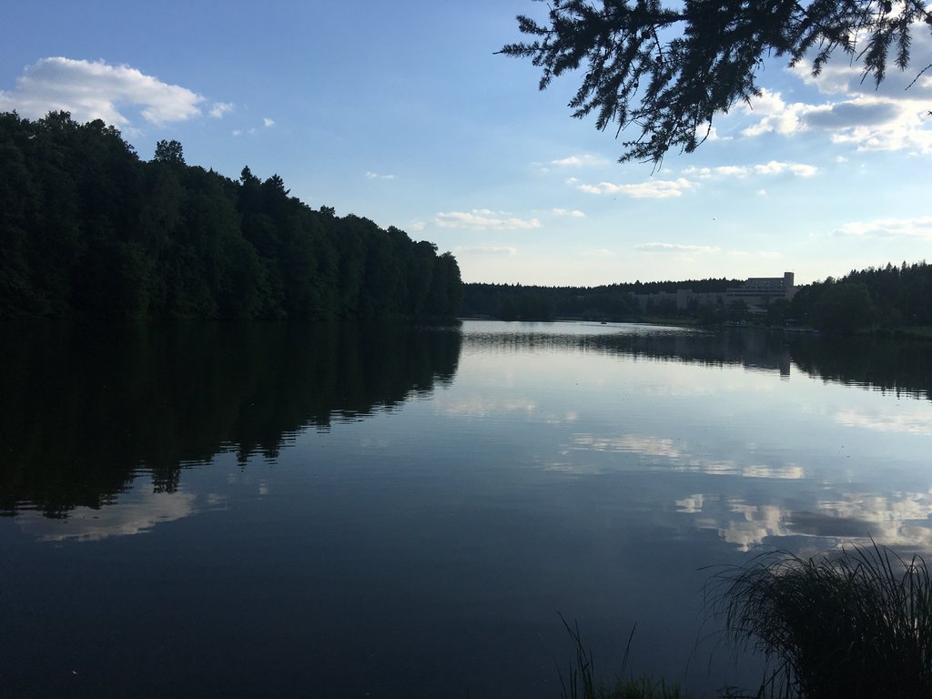 Озеро посреди леса-2.jpeg